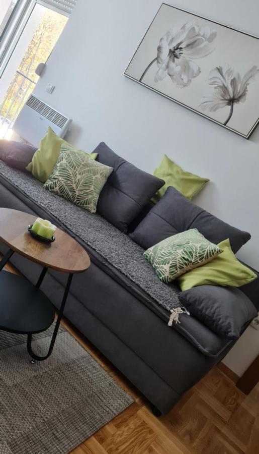 Apartman TIM LUX 2 Vrnjacka Banja Bagian luar foto